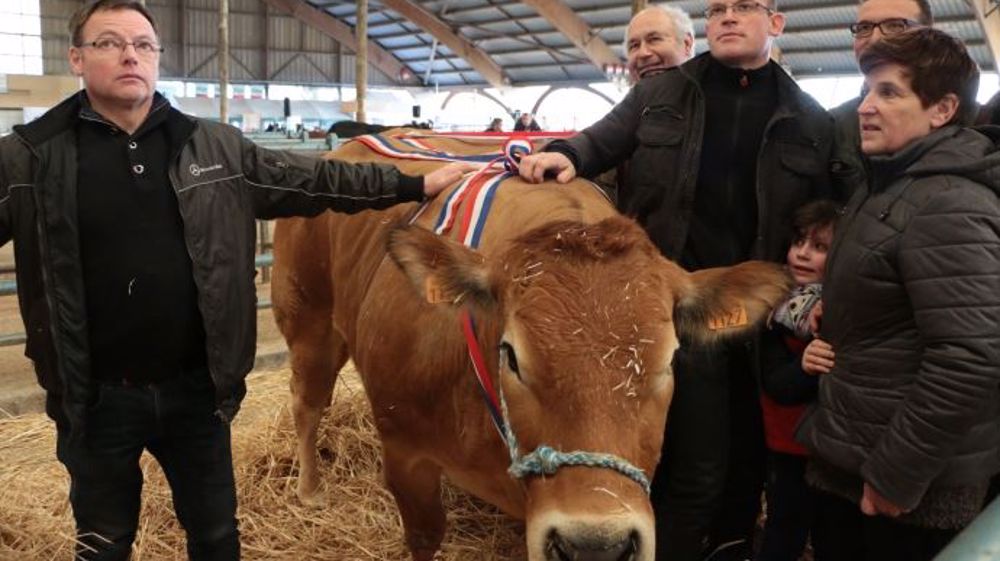 La grande championne est une Parthenaise appartenant à la famille Vadez de Thugny-Trugny, dans les Ardennes. Elle a été achetée au prix de 11,20 euros/kg de carcarsse par Joël Mellier, (à gauche sur la photo) boucher à Eu, en Seine-Maritime. (©V. Ingebos)