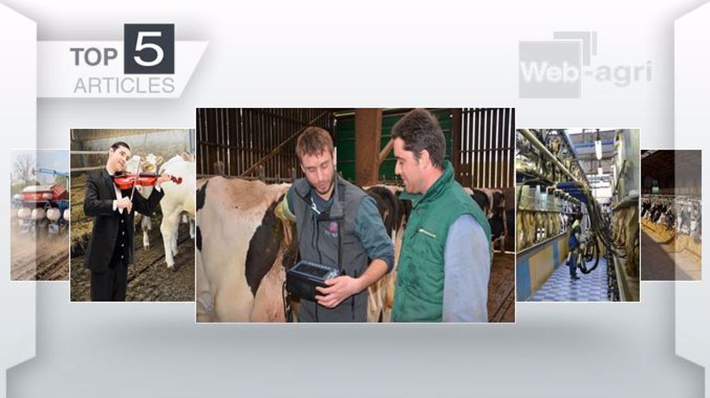Articles les plus lus cette semaine sur Web-agri. (©Terre-net Média)