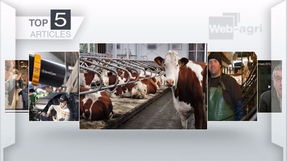 Articles les plus lus cette semaine sur Web-agri. (©Terre-net Média)