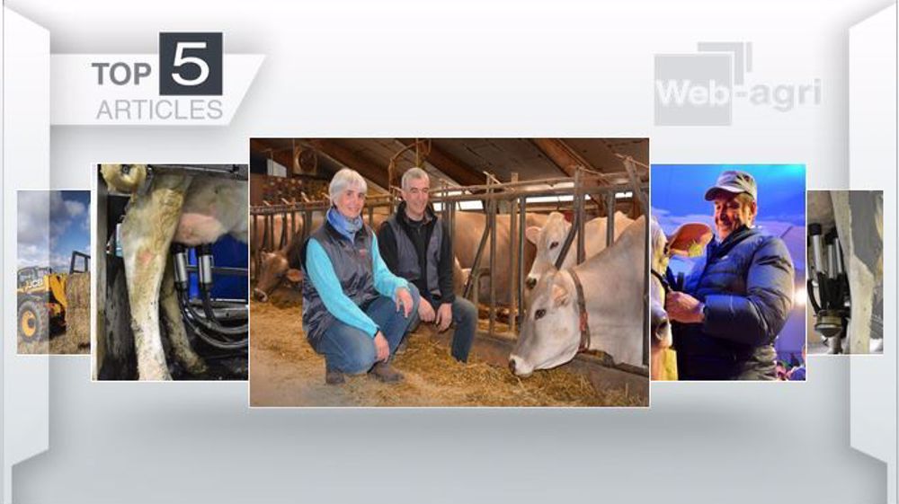 Articles les plus lus cette semaine sur Web-agri.(©Terre-net Média )