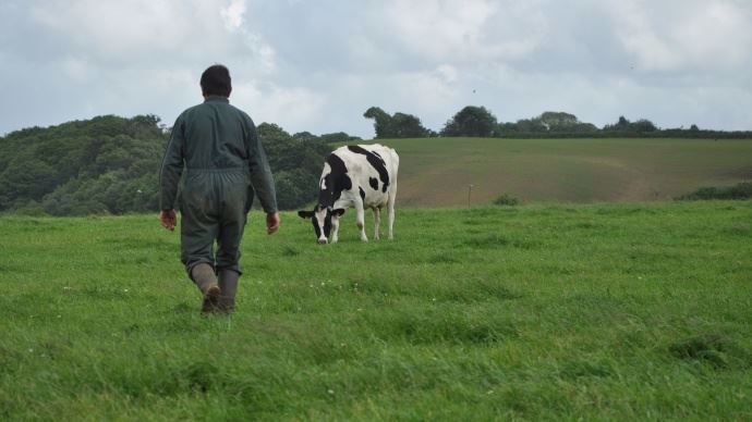 Agriculteur dans une prairie