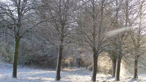 Neige et froid seront de retour sur le nord de la France. (©Terre-net Média)