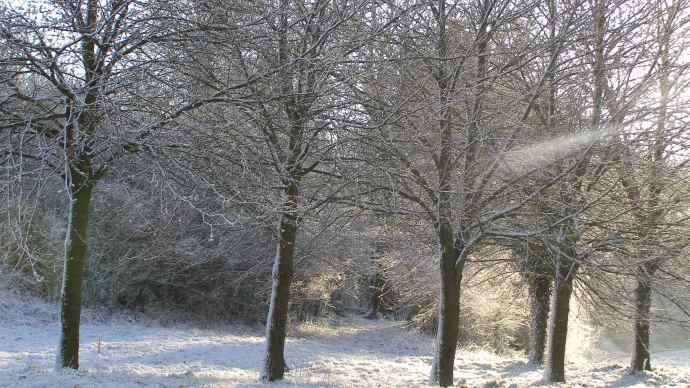 Neige et froid 