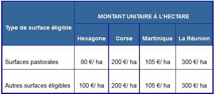 autres mae