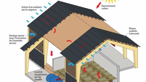 Dans un bâtiment de séchage de foin en grange, l’air rentre au niveau des pignons dans le plénum (espace sous la couverture et le faux-plafond en OSB), où il se réchauffe avant d’être soufflé par le ventilateur à travers les caillebotis des cellules pour sécher l'herbe ou la luzerne. (© Éternit)