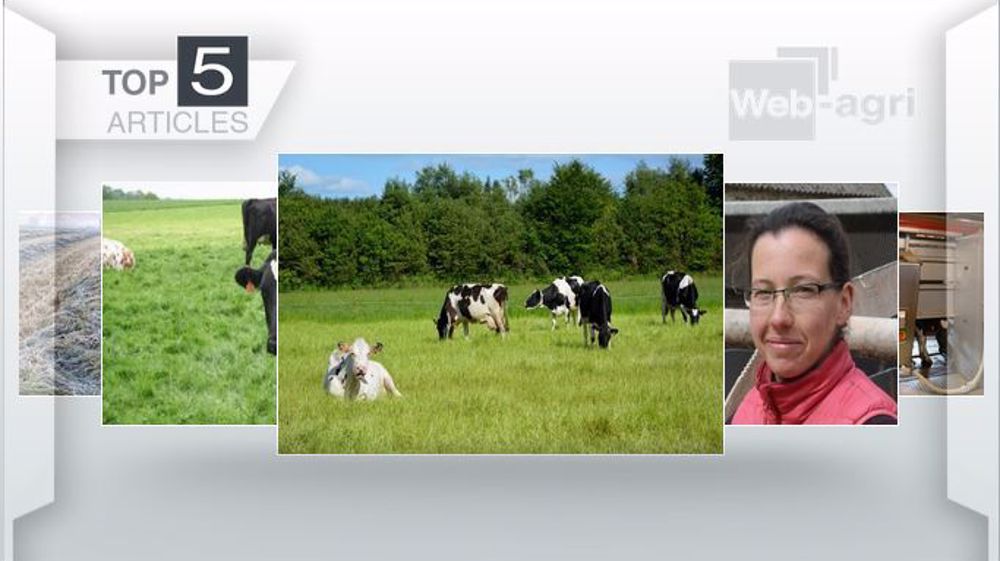 Articles les plus lus cette semaine sur Web-agri .(©Terre-net Média)