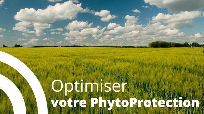 Optimize