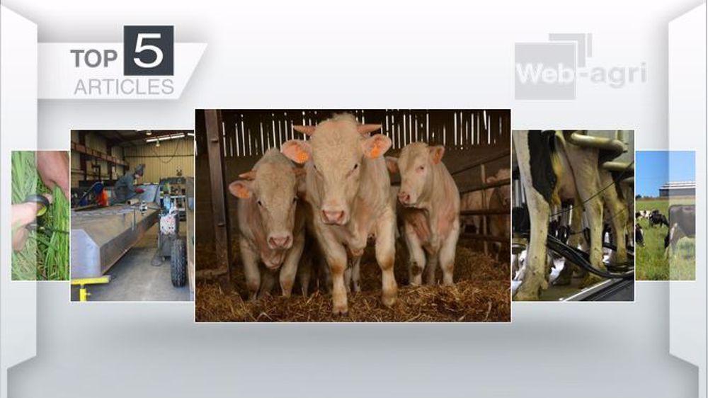 Les articles les plus lus sur Web-agri cette semaine. (©Terre-net Média)
