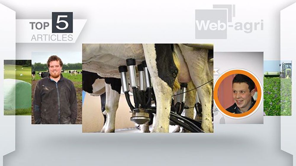 Les articles les plus consultés sur Web agri cette semaine (©Terre-net Média) Les articles les plus consultés sur Web agri cette semaine (©Terre-net Média)