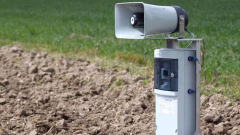 L'effaroucheur AviTrac9M permet de repousser les oiseaux sur une surface de 2 hectares (©Terre-net Média) L'effaroucheur AviTrac9M permet de repousser les oiseaux sur une surface de 2 hectares (©Terre-net Média)