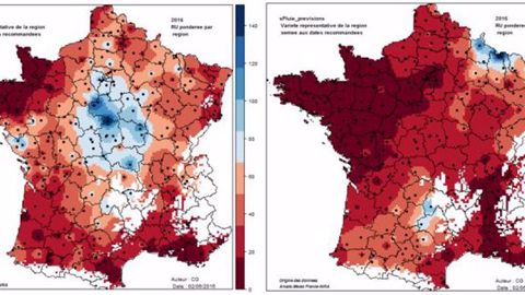 Figure 1 : Cumul de pluie en mm du 28/05/2016 au 31/05/2016 (données réelles) (gauche), et du 01/06/2016 au 05/06/2016 (prévisions) (droite) - Données : Météo France - ARVALIS - INRA (©Arvalis)