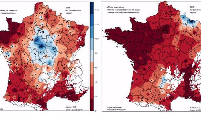 Cumul de pluie en mm