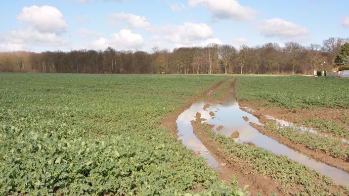 Une parcelle en excès d'eau