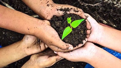 C'est la 6e édition du concours Graines d'agriculteurs qui récompense des jeunes innovants. (©Graines d'agriculteurs)