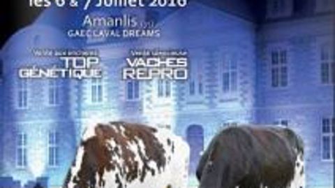 La vente normande PMS revient en Ile-et-Vilaine le 6 et 7 juillet