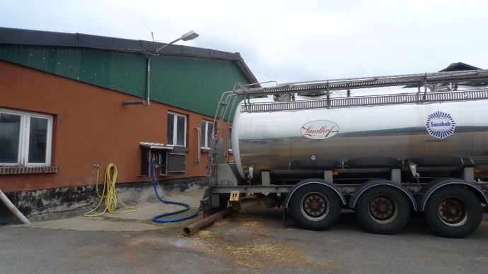 2 000 hectares, 2 250 vaches et 65 salariés : bienvenue à la ferme Gut Hohen Luckow, dans le nord-est de l'Allemagne.
