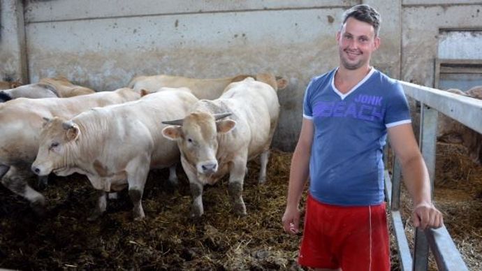 Avec un prix d'achat à peine inférieur au prix de vente, les broutards français n'intéressent plus l'Italien Maurizio.