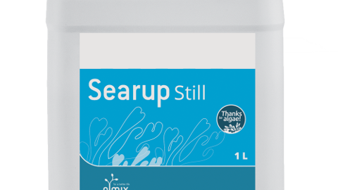 Seraup d'Olmix utilise les propriétés des algues marines. (©DR)