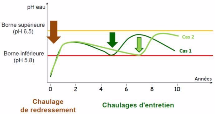 Evolution schématique du chaulage d'un sol cultivé