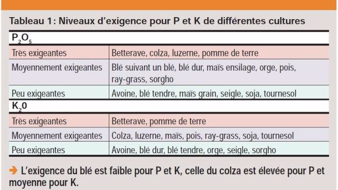 Niveau d'exigence de P et K pour différentes cultures