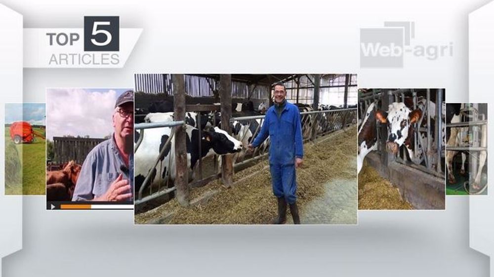 Les cinq articles les plus consultés sur Web-agri (©Terre-net Média)