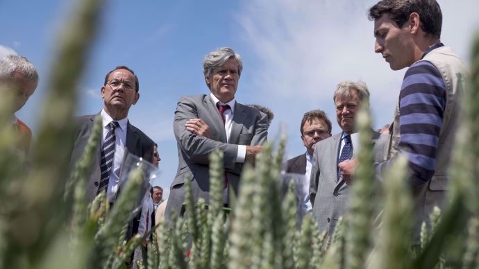Stéphane Le Foll, ministre de l'agriculture