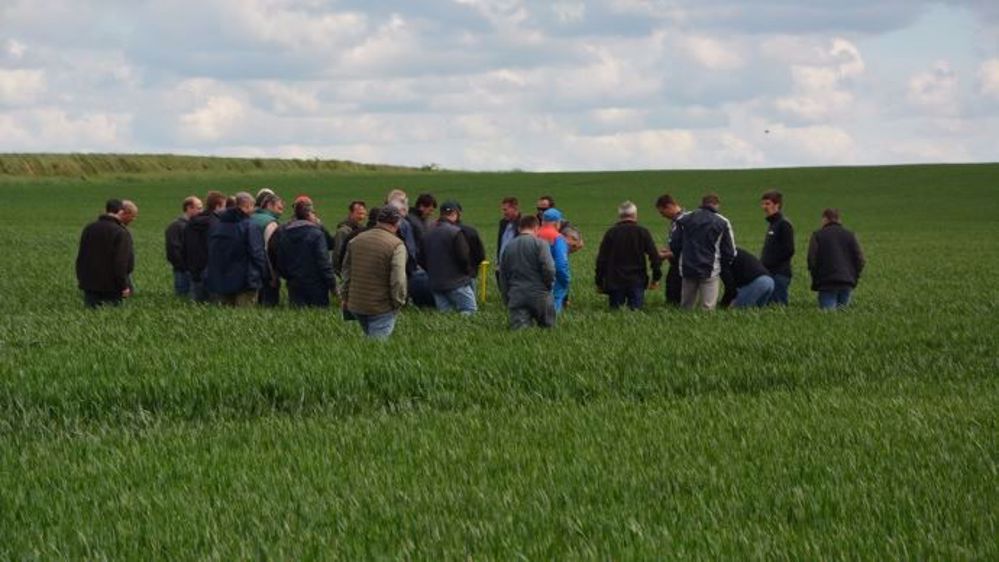Les distributeurs ont pour objectif de promouvoir les pratiques économes en produits phytos. (©Terre-net Média)