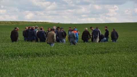 Les distributeurs ont pour objectif de promouvoir les pratiques économes en produits phytos. (©Terre-net Média) Les distributeurs ont pour objectif de promouvoir les pratiques économes en produits phytos. (©Terre-net Média)