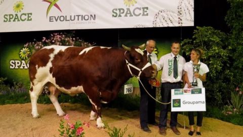Epatente, de David Cadet. Voir le <a target="_self" href="http://www.web-agri.fr/conduite-elevage/genetique-race/article/la-rouge-des-pres-une-race-qui-protege-sa-viande-et-son-terroir-1175-120909.html"> reportage vidéo chez David Cadet </a> (©DR) Epatente, de David Cadet. Voir le <a target="_self" href="http://www.web-agri.fr/conduite-elevage/genetique-race/article/la-rouge-des-pres-une-race-qui-protege-sa-viande-et-son-terroir-1175-120909.html"> reportage vidéo chez David Cadet </a> (©DR)