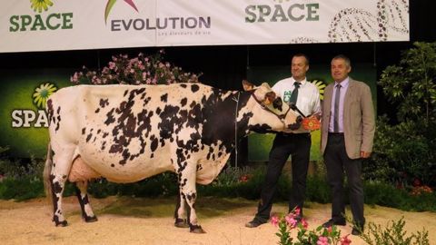 Blanchette, grande championne du concours interrégional Normand au Space 2016. (©Arsoe) Blanchette, grande championne du concours interrégional Normand au Space 2016. (©Arsoe)