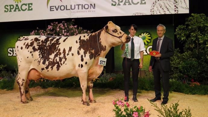 First Lady, la meilleure fromagère du concours interrégional normand, au Space.