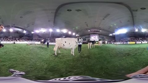 Revivez le championnat Prim’holstein du Space en vidéo à 360 degrés ! Revivez le championnat Prim’holstein du Space en vidéo à 360 degrés !