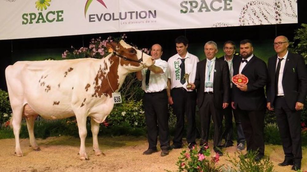 A Rennes, Fidélor (Earl Rannou, 29) a été sacrée grande championne du concours Pie Rouge. (©Arsoe)