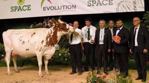 A Rennes, Fidélor (Earl Rannou, 29) a été sacrée grande championne du concours Pie Rouge. (©Arsoe) A Rennes, Fidélor (Earl Rannou, 29) a été sacrée grande championne du concours Pie Rouge. (©Arsoe)