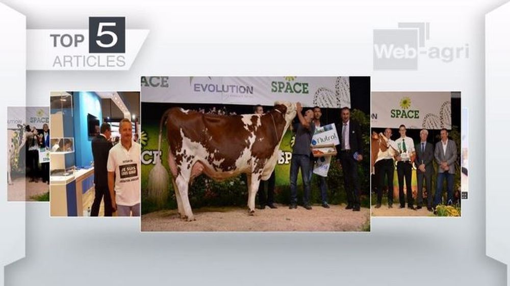 Les cinq articles les plus consultés sur Web agri cette semaine (©Terre-net Média)
