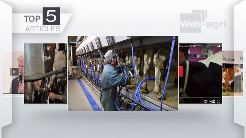 Les cinq articles les plus consultés sur Web-agri (©Terre-net Média)