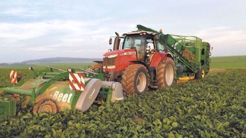 L'ensemble d'arrachage X-Beet et X-Load de Franquet a attiré l'attention à Innov-Agri 2016. (©Franquet)