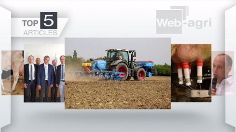 De nombreux lecteurs ont voulu connaître la date limite<br />pour semer une prairie de légumineuses. (© Création Terre-net Média)