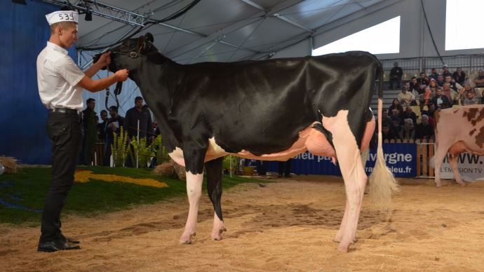 Jaika (Gold Chip x Sanchez) à l'Earl des Carrins (40)