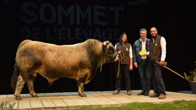Meilleur jeune taureau : Helvétique (Déluge x Durance) au Gaec Batifol en Lozère (48)