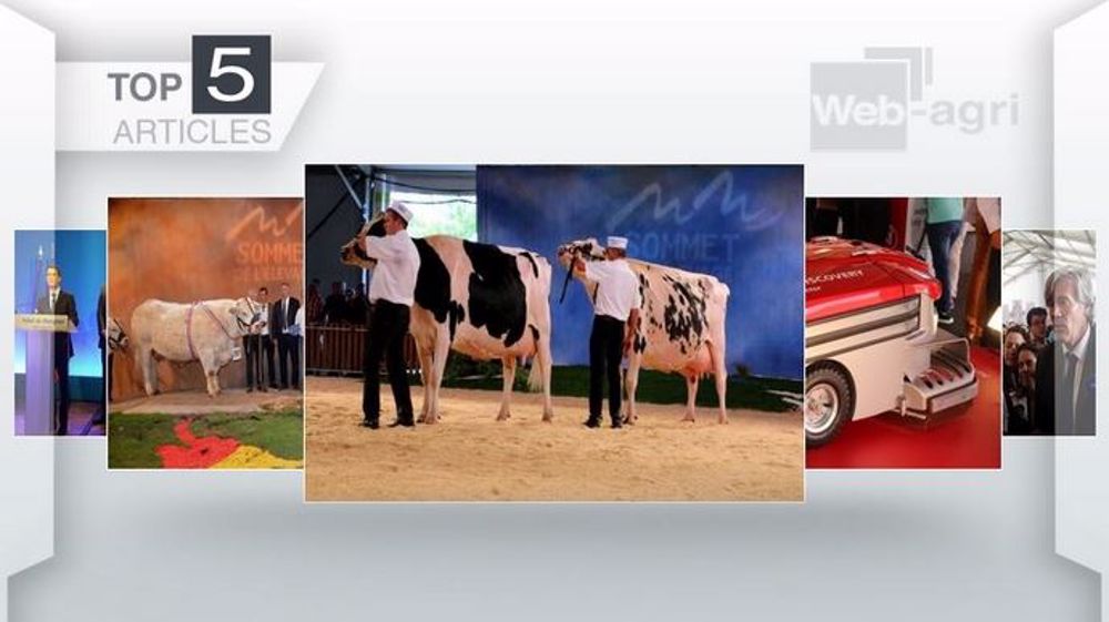 Les articles les plus lus de la semaine sur Web-agri. (©Terre-net Média)