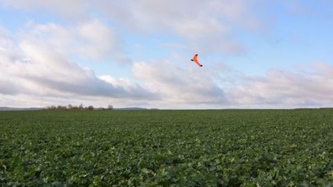 Le projet Précisdrone implique l'utilisation de drones de longue portée (©Terre-net Média) Le projet Précisdrone implique l'utilisation de drones de longue portée (©Terre-net Média)