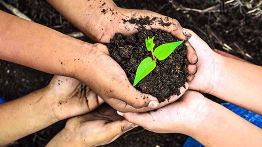 C'est la 6e édition du concours Graines d'agriculteurs qui récompense des jeunes innovants. (©Graines d'agriculteurs)