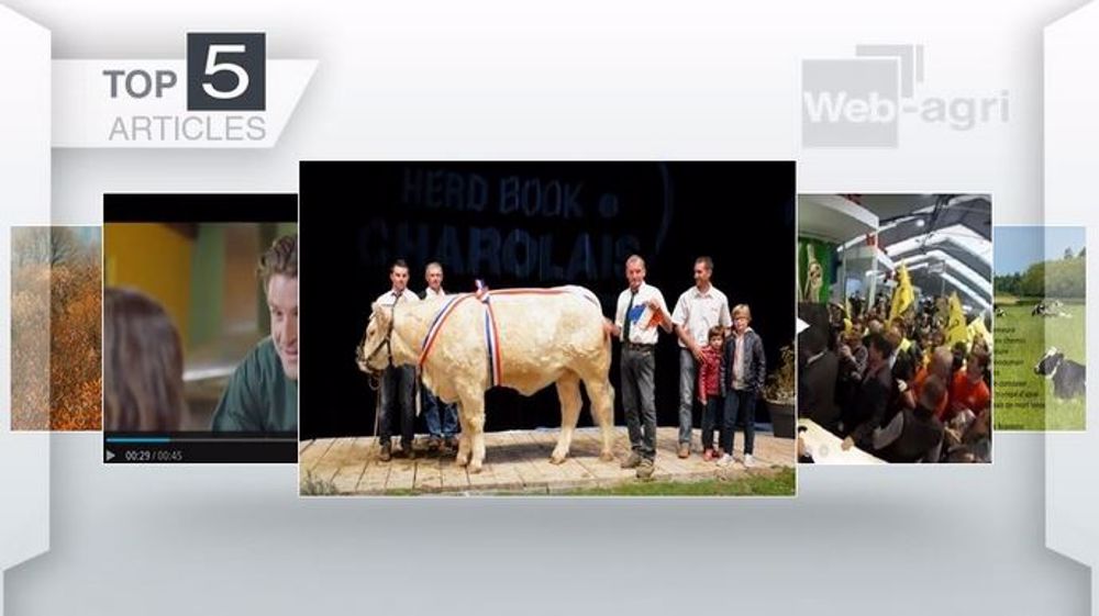 Les articles que vous avez le plus lus cette semaine. (©Terre-net Média)