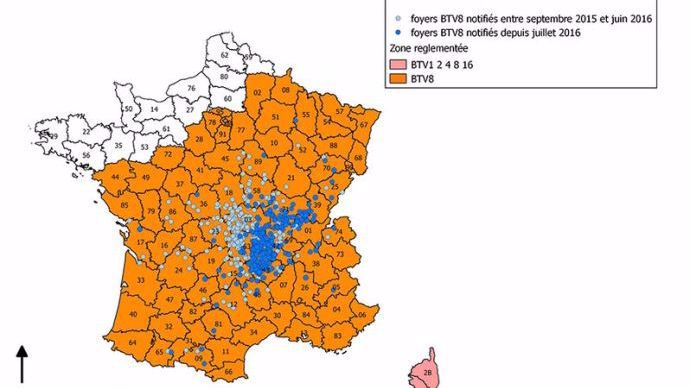 carte actualisée au 13 octobre de la répartition des foyers de FCO.