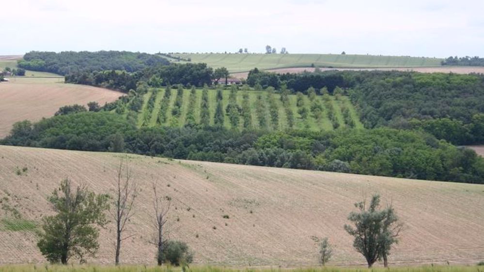 La ferme du futur passera-t-elle par le numérique ? C'est ce que prône la Ferme digitale. (©Terre-net Média)