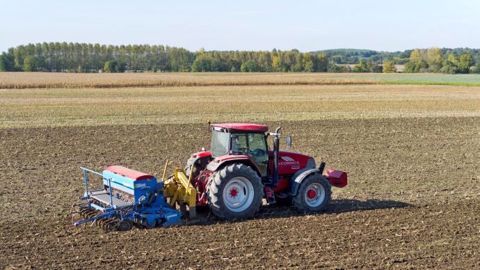 En moyenne, le potentiel de rendement est abaissé de 0,1 à 0,6 q/ha par jour de retard par rapport à la plage idéale de dates de semis. (©Watier-visuel)