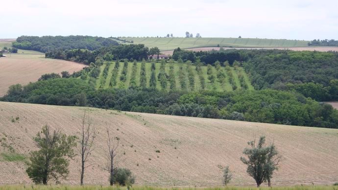Une vente entre amis échappe au droit de préemption accordé aux Safer sur les terrains agricoles.