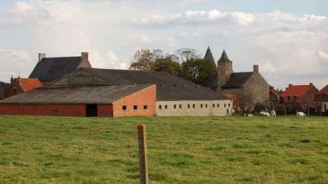 Les agriculteurs pourront désormais assurer leur chiffre d'affaires. (©Terre-net Média)