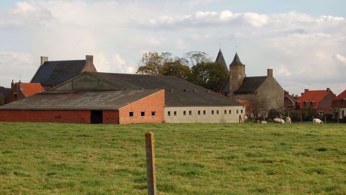 Les agriculteurs pourront désormais assurer leur chiffre d'affaires.